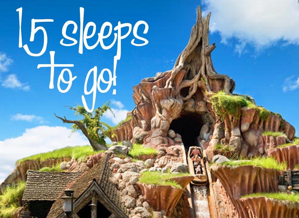 disney-holiday_15-days